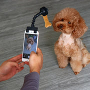 Mobile Phone Camera Holder Selfie Clip Supplies Pet Products